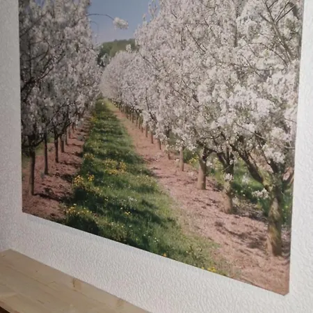 Apartmán Ruhige Zentral Gelegene Fewo Mit 4 Schlafzimmern Fuer Monteure In Ingelheim Am Rhein *
