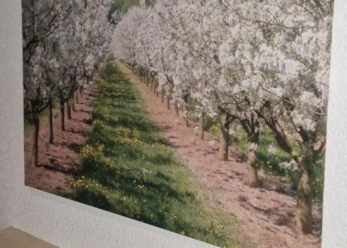 Apartment Ruhige Zentral Gelegene Fuer Monteure In *