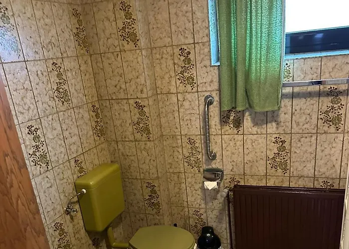 Ruhige Zentral Gelegene Fuer Monteure In Apartment Ingelheim am Rhein